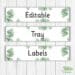Botanical Themed Tray Labels (editable) | Mr P's Resources